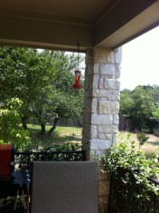2011-05-24-Janeen's TBI-38.jpg